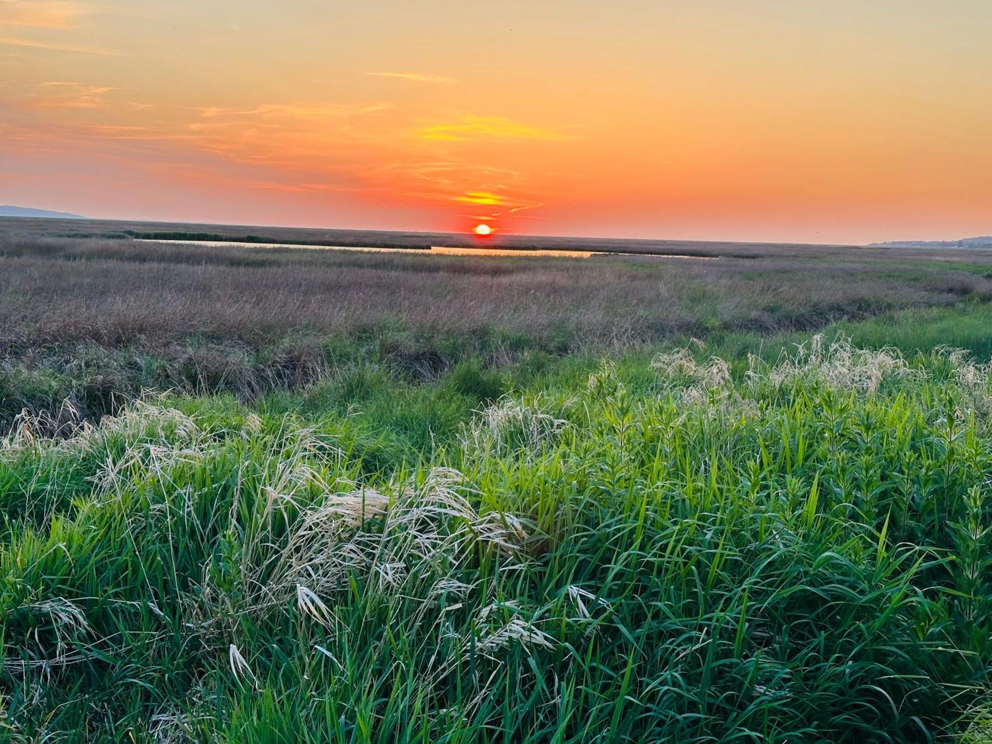 The Rambler'S Rest Cottage, Parkgate, Wirral Parkgate  Exteriör bild